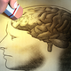 Illustration for article titled Experts Arent Psyched About New DSM